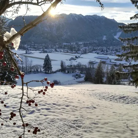 Alpenhaus Ammertal * أونتر أمركاو
